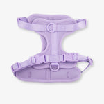 lilac dog harness