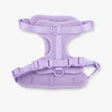 lilac dog harness