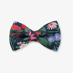navy floral dog bow tie