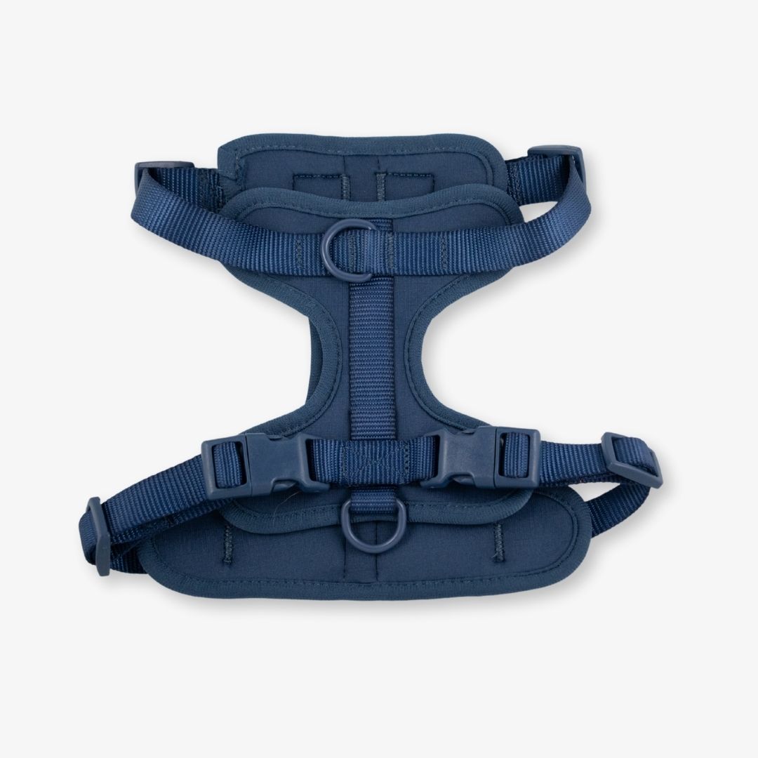 navy dog harness
