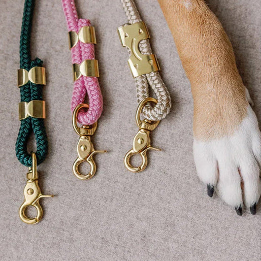 rope leashes and a dog paw