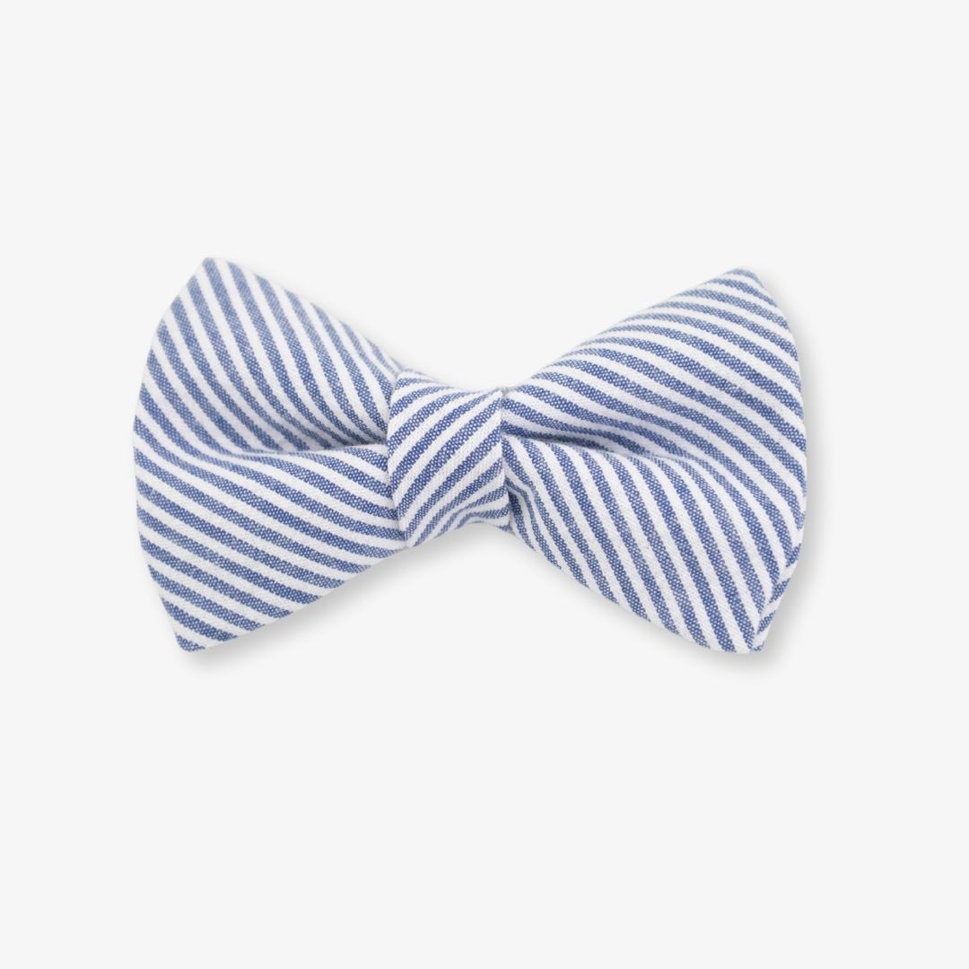 seersucker dog bow tie
