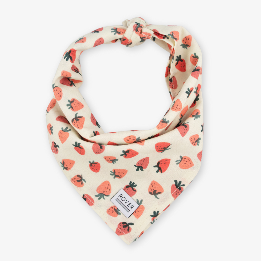 strawberry dog bandana