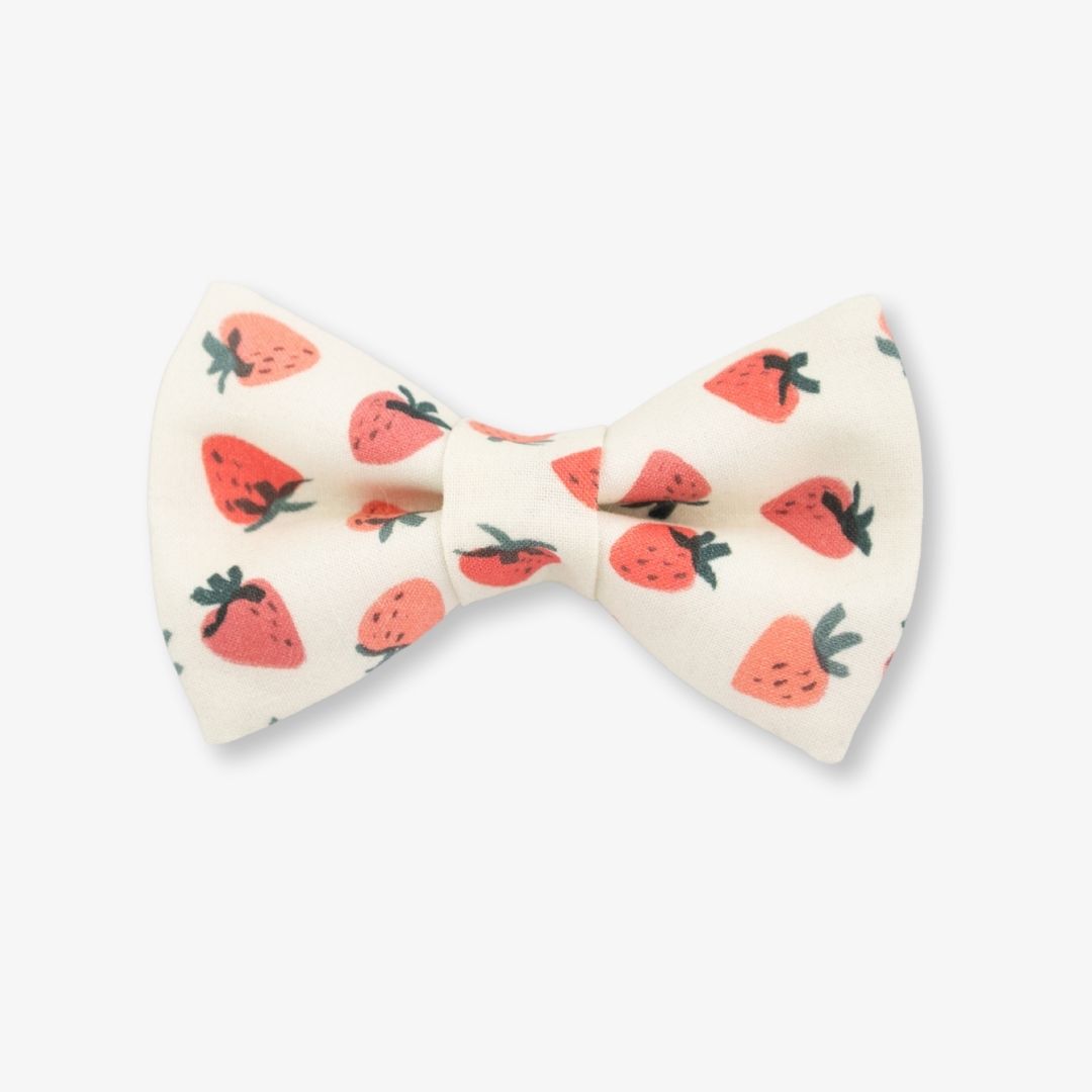 strawberry dog bow tie