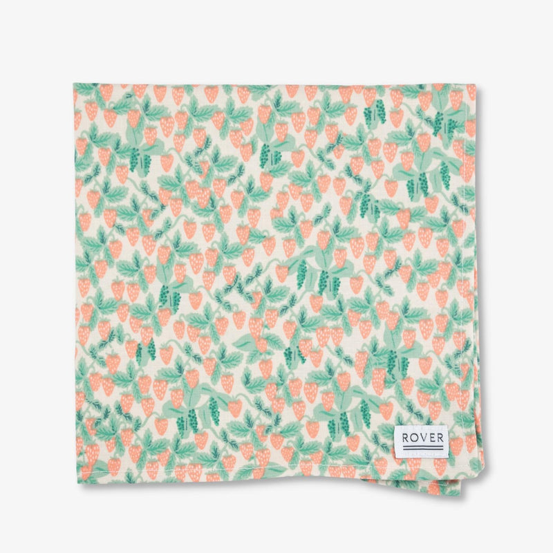 strawberry dog bandana