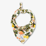 citrus dog bandana