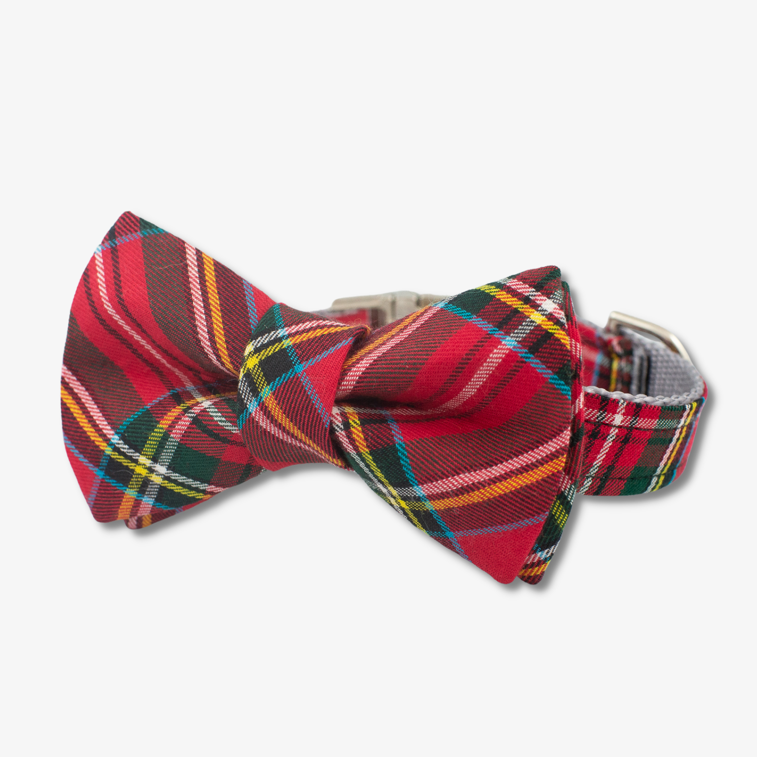 red tartan bow tie dog collar