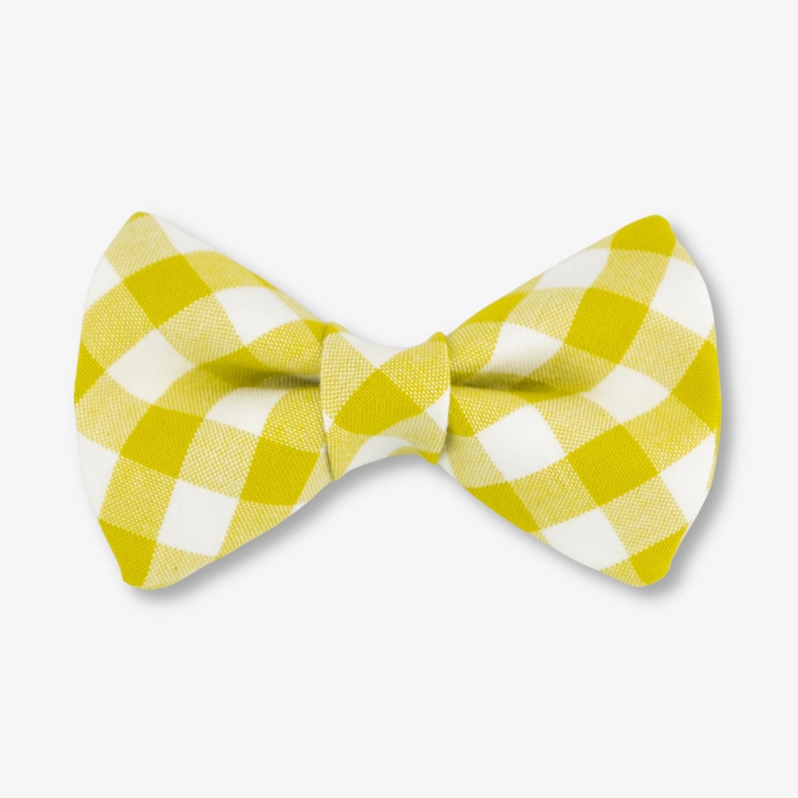 lime gingham dog bow tie