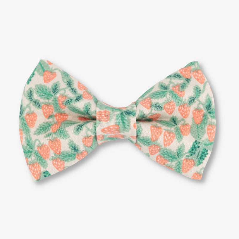 strawberry dog bow tie