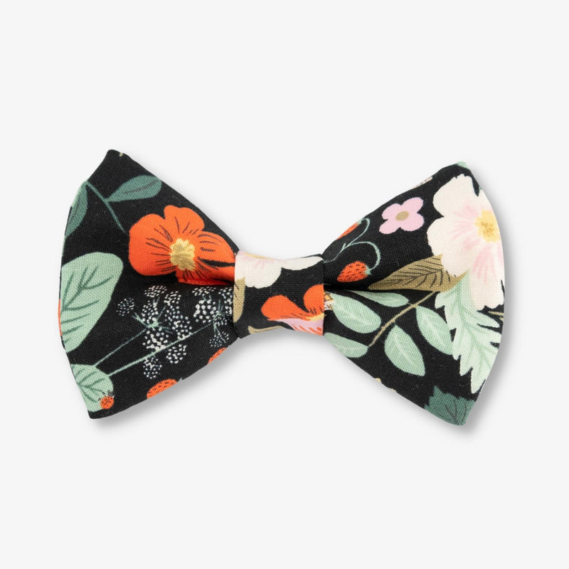 flower dog bow tie