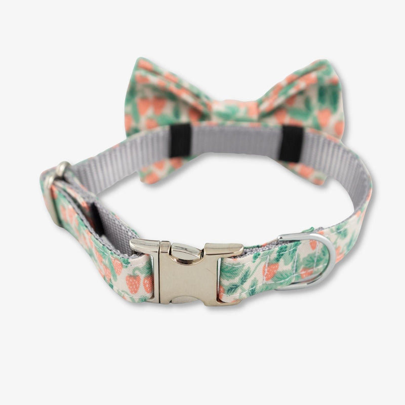 strawberry bow tie dog collar