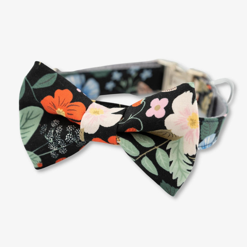 flower bow tie dog collar