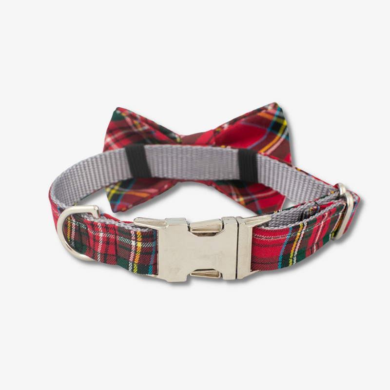 red tartan bow tie dog collar