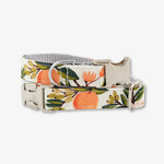 citrus dog collar