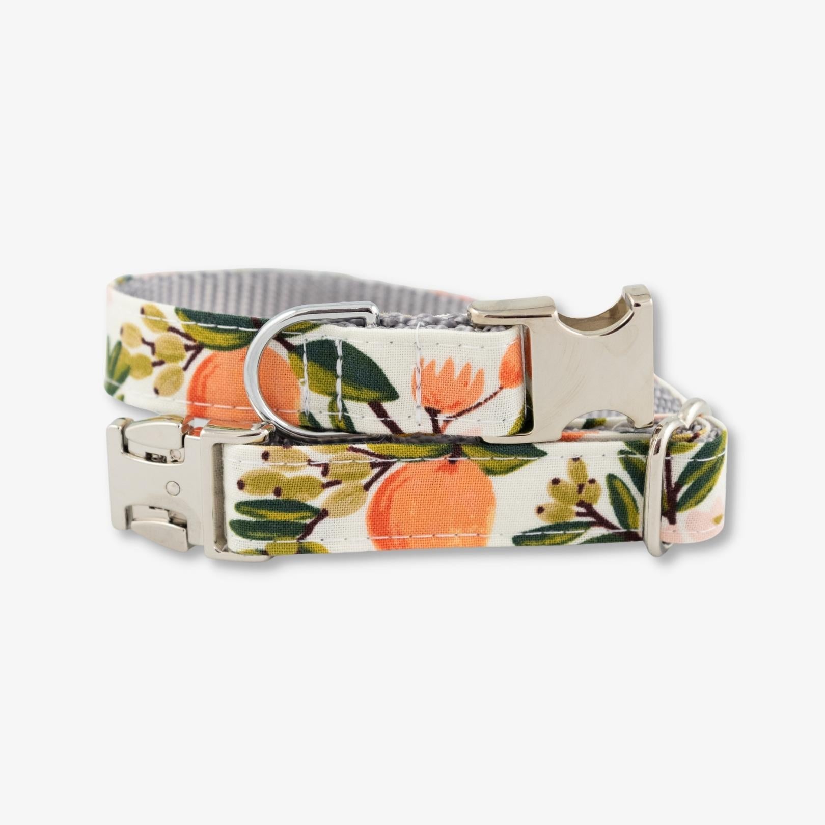 citrus dog collar