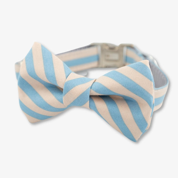 stripe bow tie dog collar