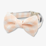 blush bow tie dog collar