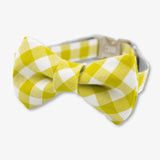 lime bow tie dog collar