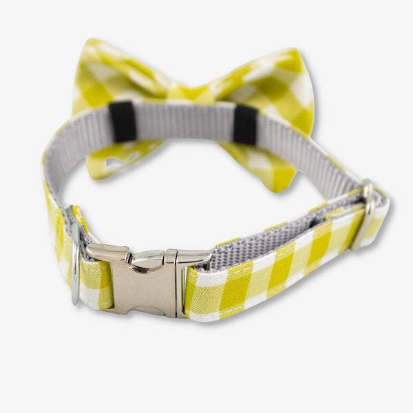 lime bow tie dog collar