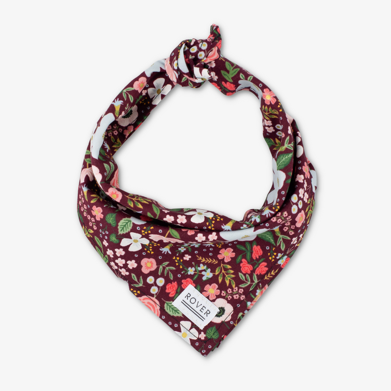 rifle paper co dog bandana