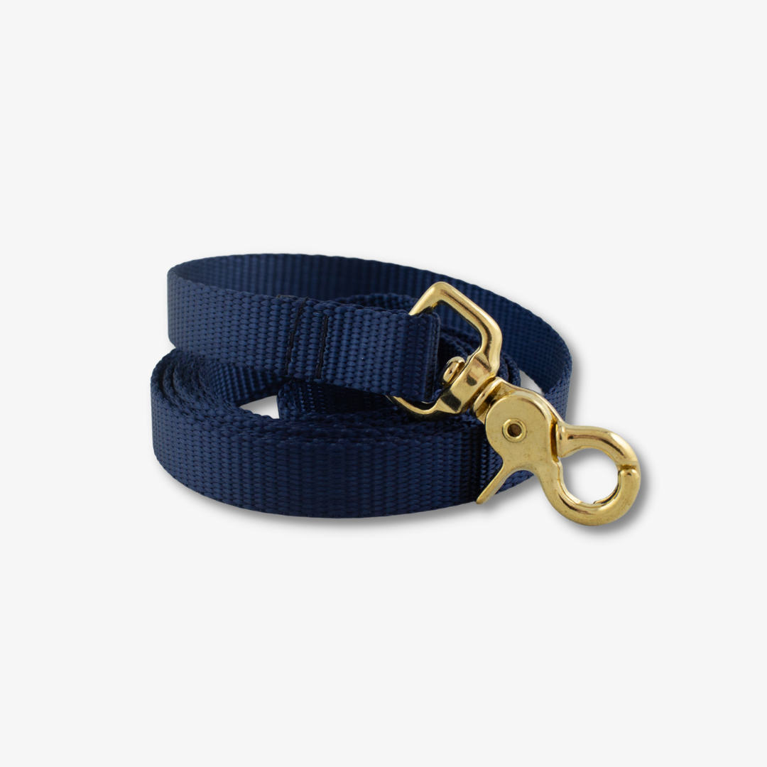 navy dog leash with gold clasp