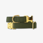 olive dog collar
