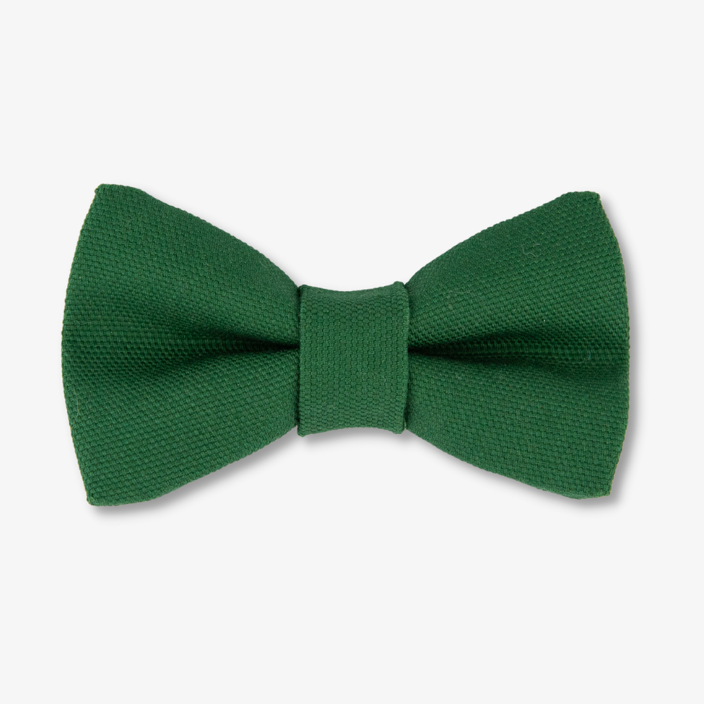 green dog bow tie