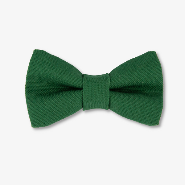 green dog bow tie