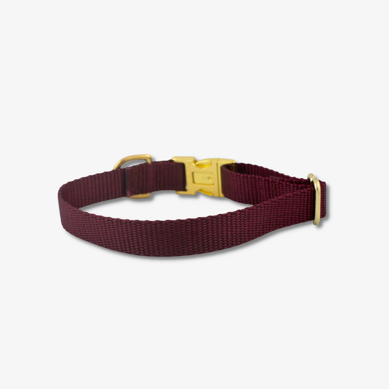 burgundy dog collar with gold buckles