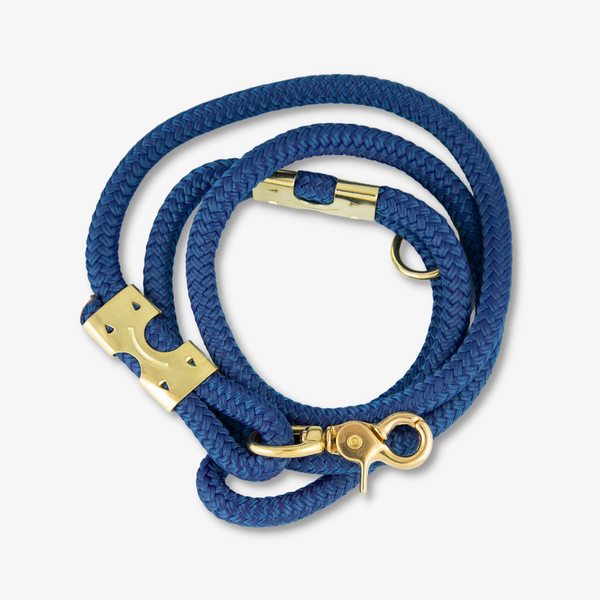 blue rope dog leash