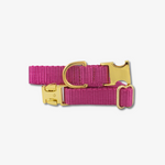 berry dog collar with gold buckles