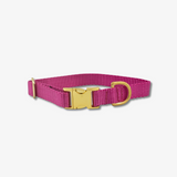 berry dog collar with gold buckles