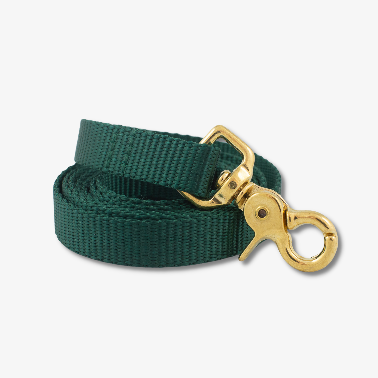 forest green dog leash
