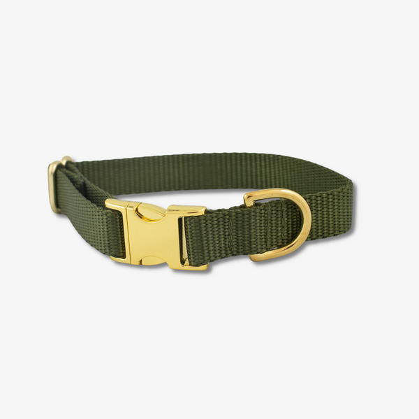 Rangers dog hot sale collar