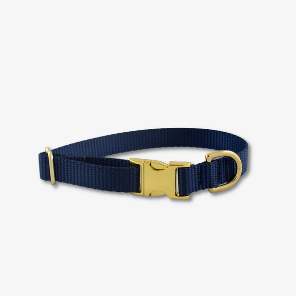 navy dog collar with gold buckles