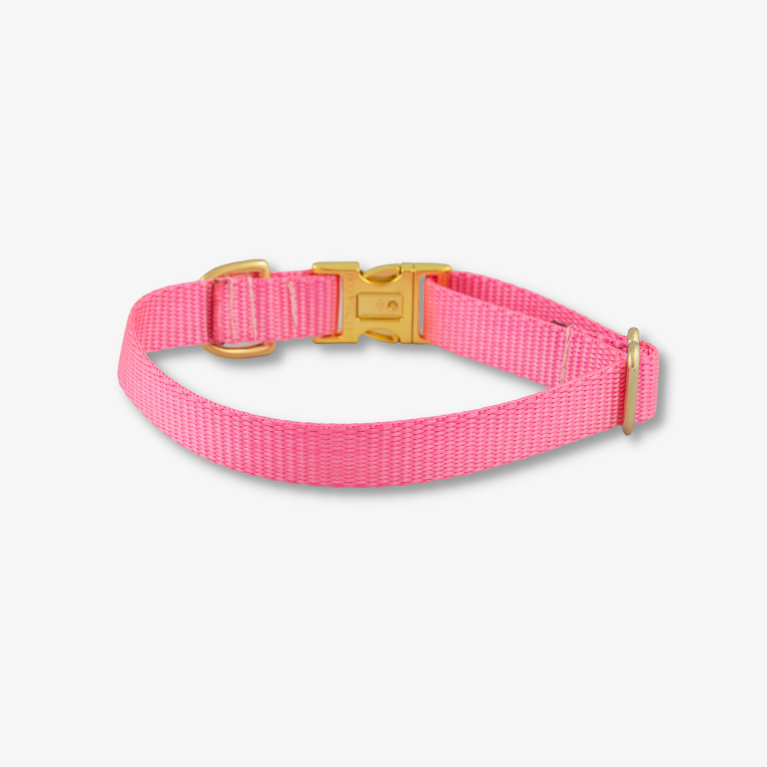pink dog collar