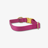 berry dog collar with gold buckles