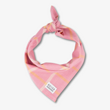 pink dog bandana