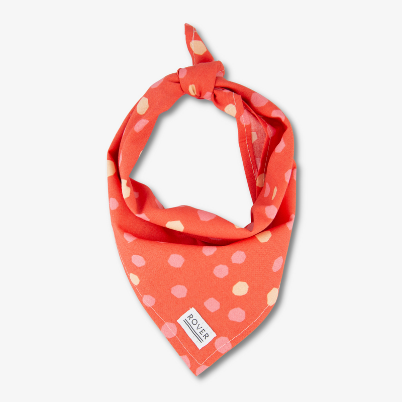 pink dog bandana