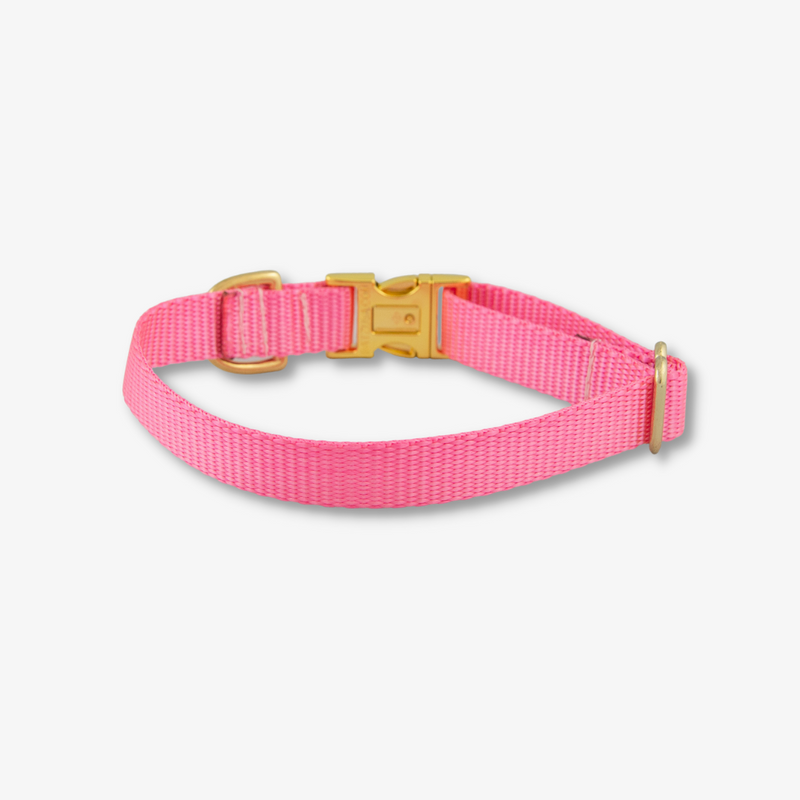 pink dog collar