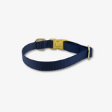 navy dog collar with gold buckles