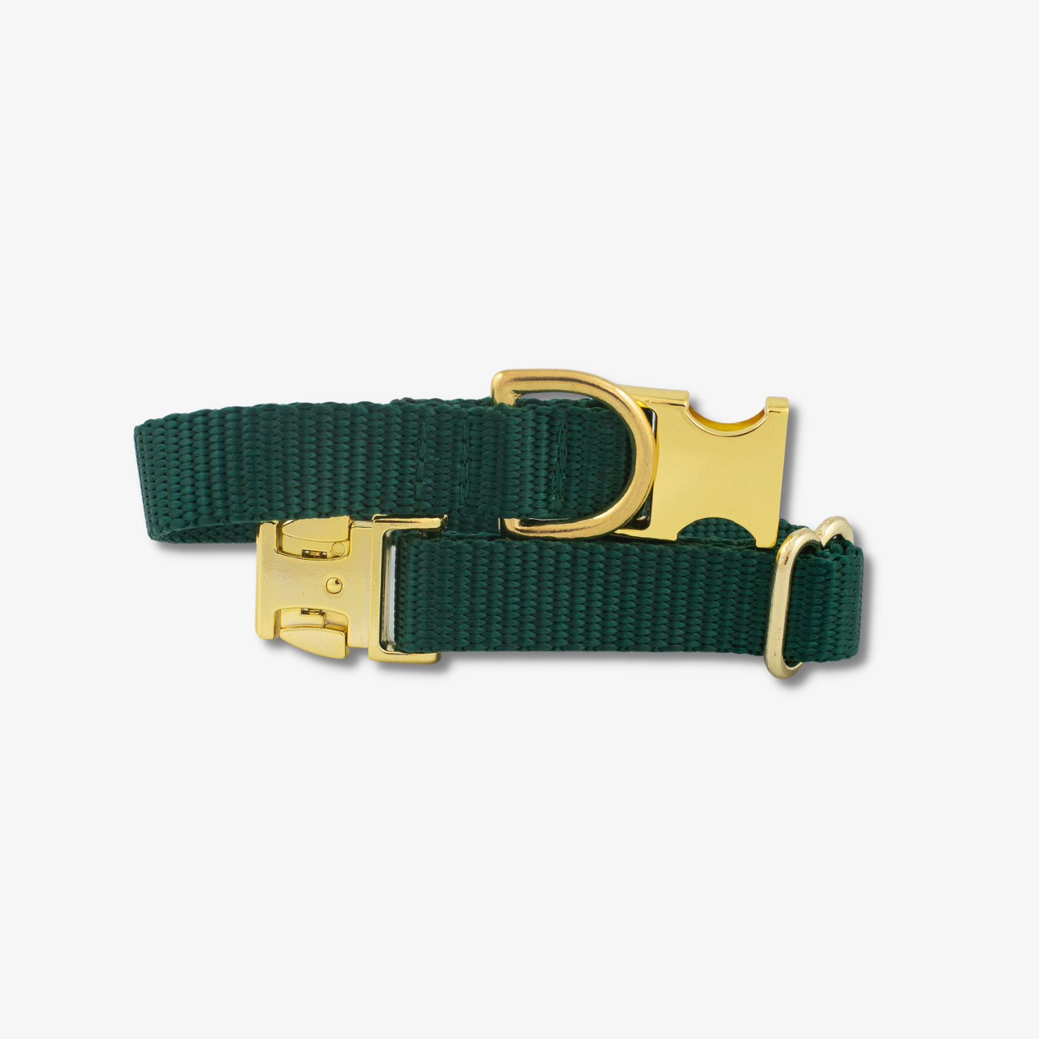 green dog collar with gold buckles