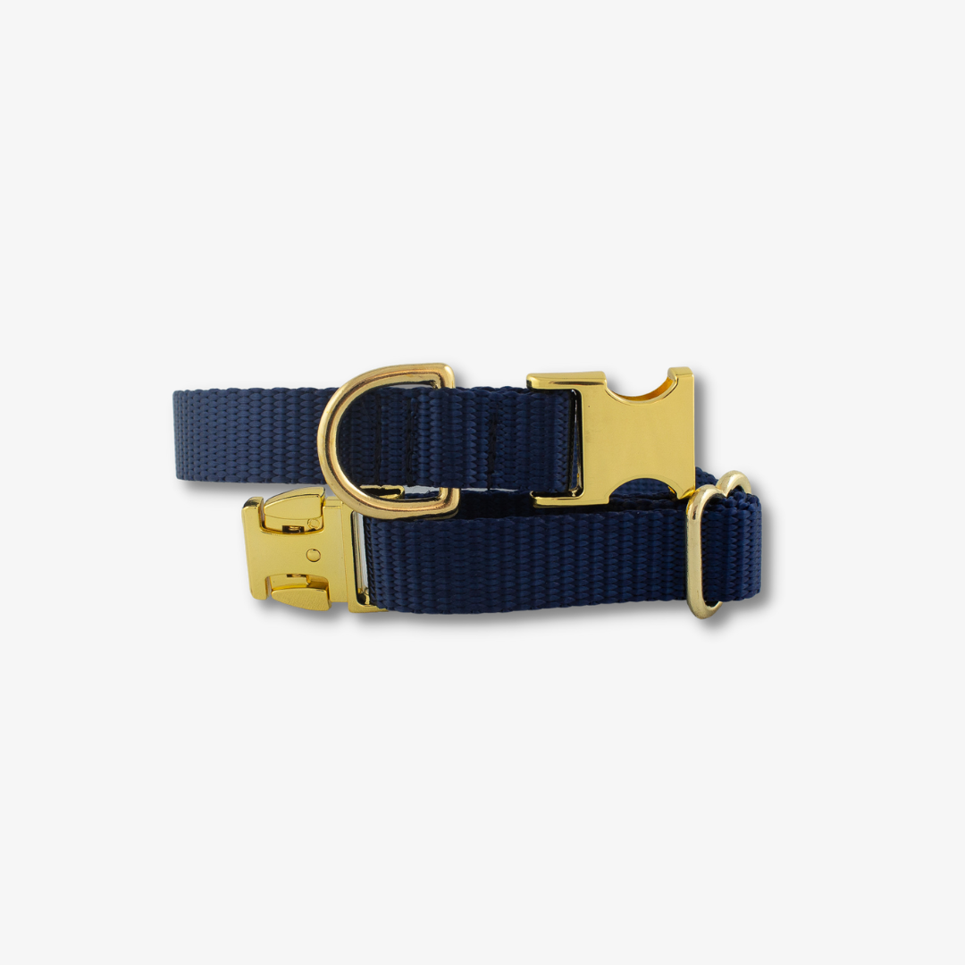 navy dog collar made in canada