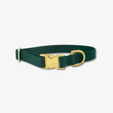 green dog collar with gold buckles
