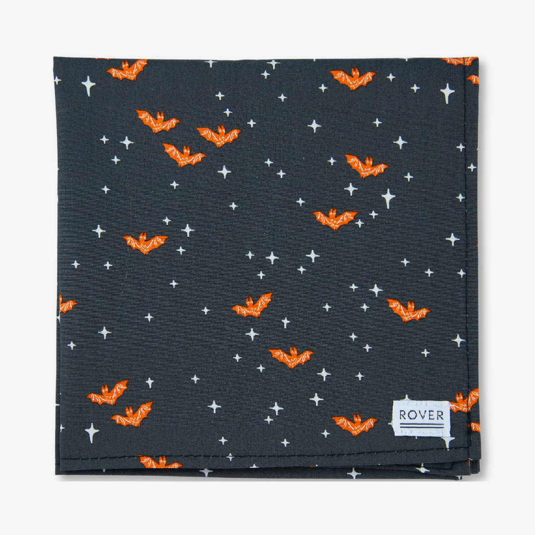 bat halloween dog bandana
