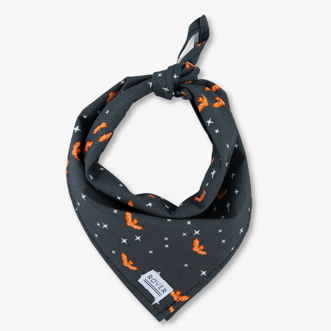 bat halloween dog bandana