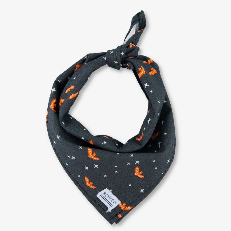 bat halloween dog bandana