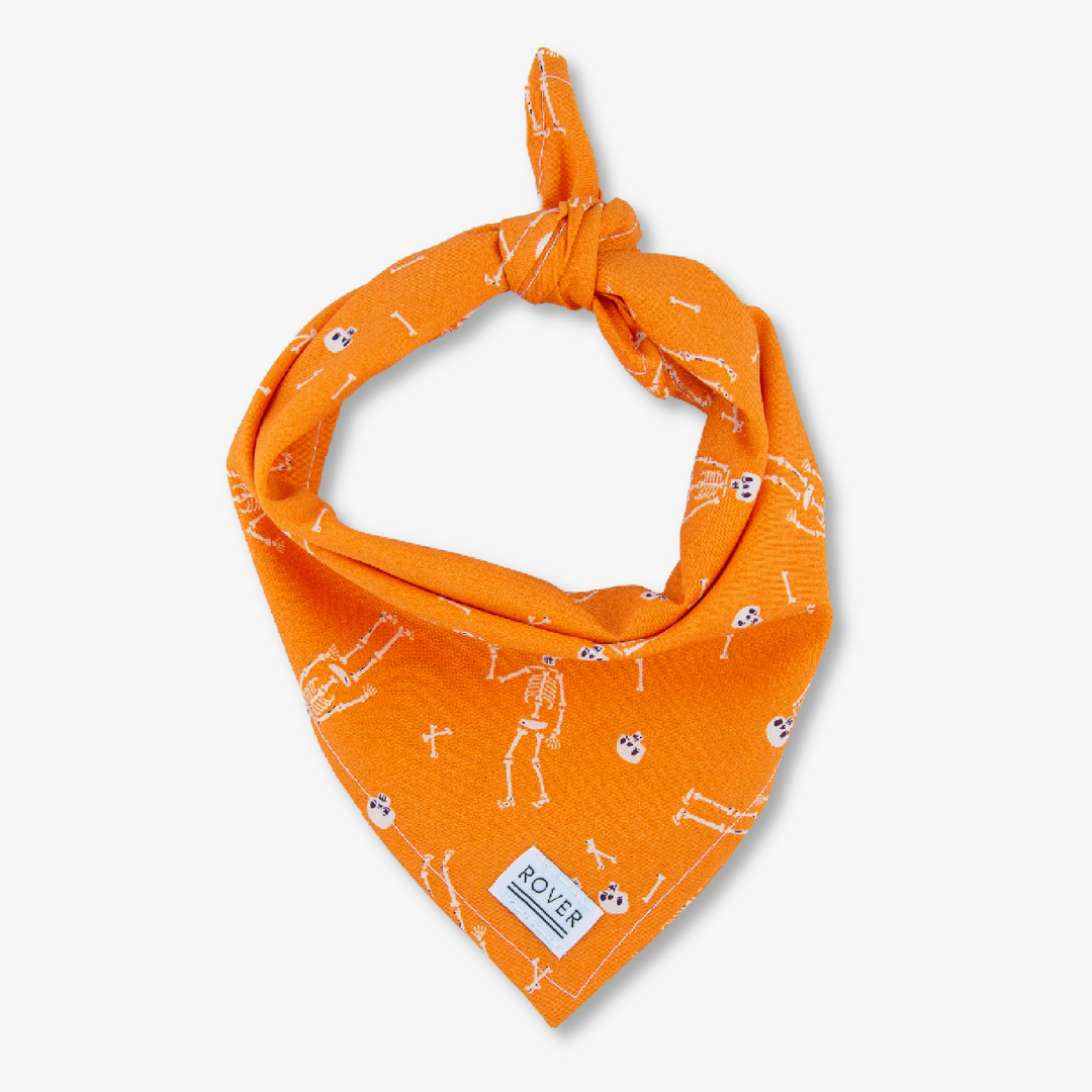 halloween dog bandana