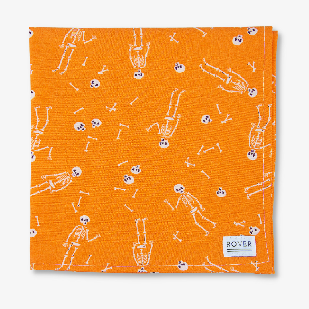 halloween dog bandana