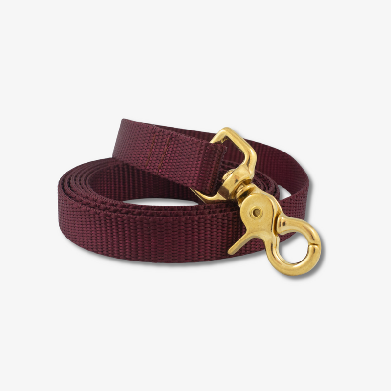 Burgundy dog leash